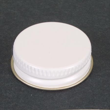 Paasche 1oz Bottle Cover & Gasket